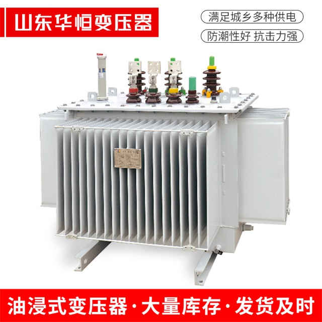 S13-10000/35临泉临泉临泉电力变压器